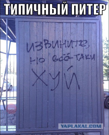 На что похожа работа Роскомнадзора