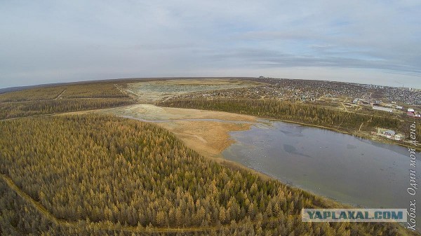 Я Кобах и ниже мой день