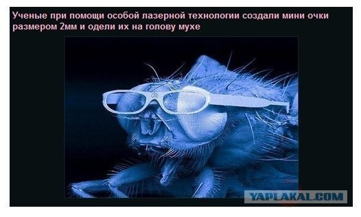 Продукты, способствующие неприятному запаху тела