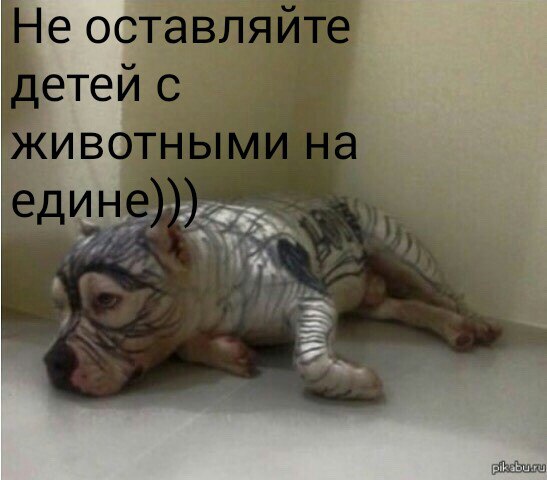 Картинки на пятницу