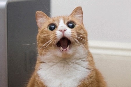 "Заброшенный город в Японии"