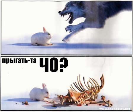 Фотожаба: ЧО?