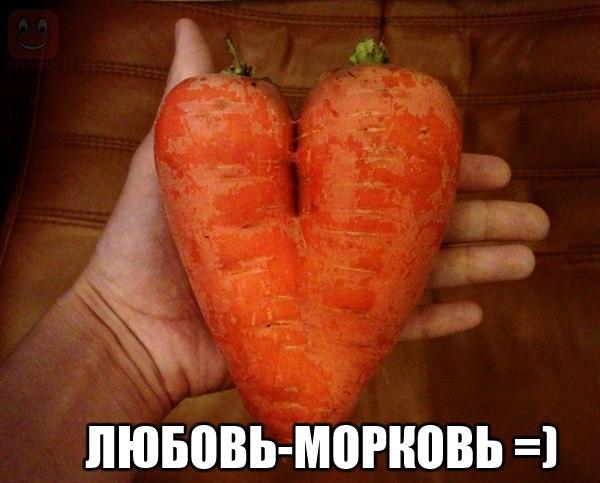 Подборка картинок