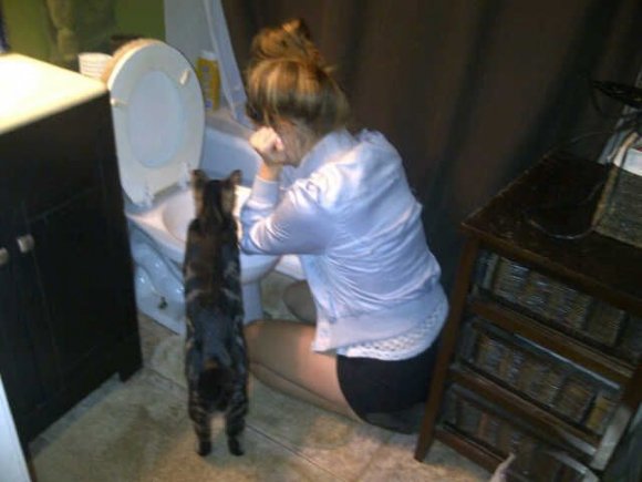 Ужасы и приколы из соцсетей 18+