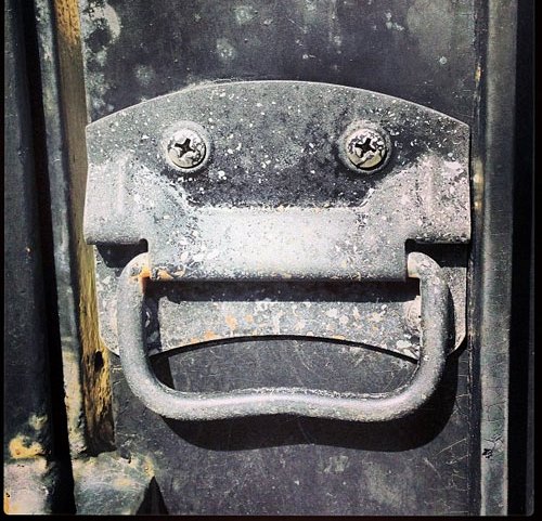 Они живые. Они смотрят на нас!