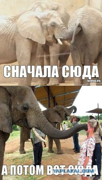 Просто 30 картинок из тырнета