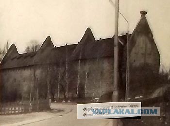 Крякнет ли серый гусь?