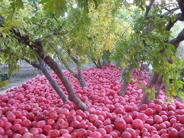 Подборка картинок