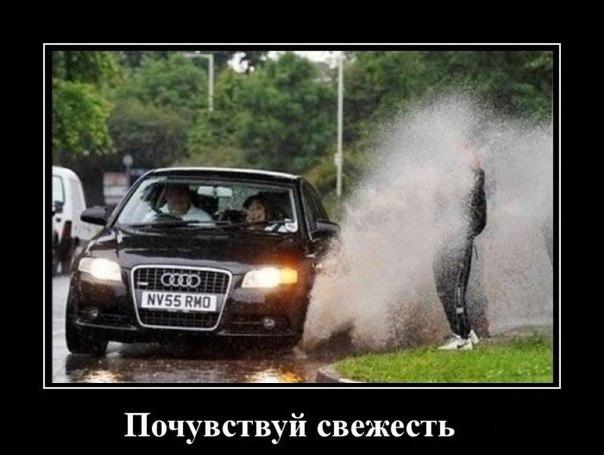 Подборка интересных и смешных картинок