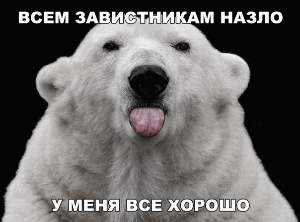 Мохнатые беспредельщики