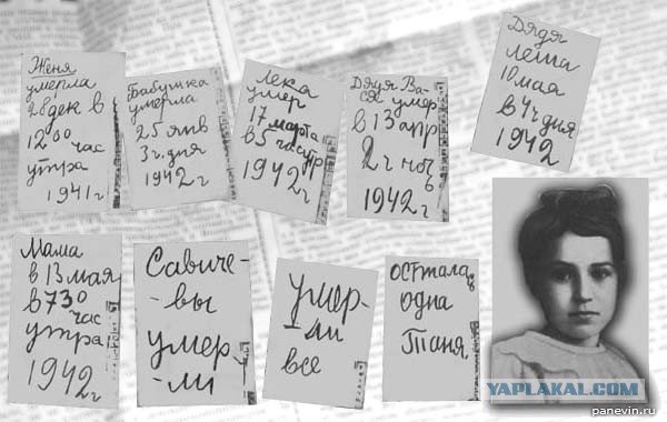 Мемориальную доску Маннергейму в Петербурге порубили топором