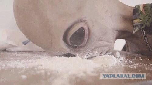 На Марсе обнаружен город, где может жить более полумиллиона человек