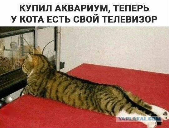Подборка картинок