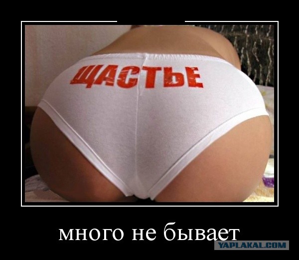 Баяны в чёрных рамках