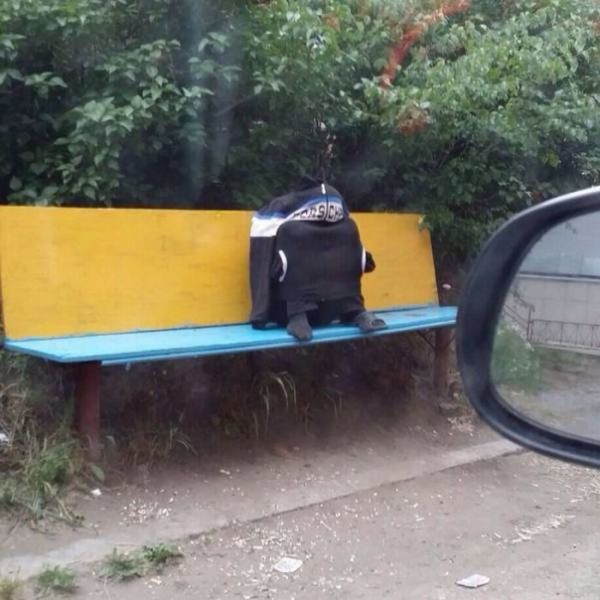 Подборка безудержного веселья