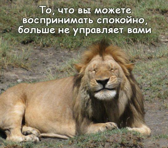 Обижаетесь ли вы на отказ в сексе?