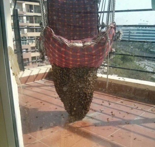 Неприятные неприятности случаются