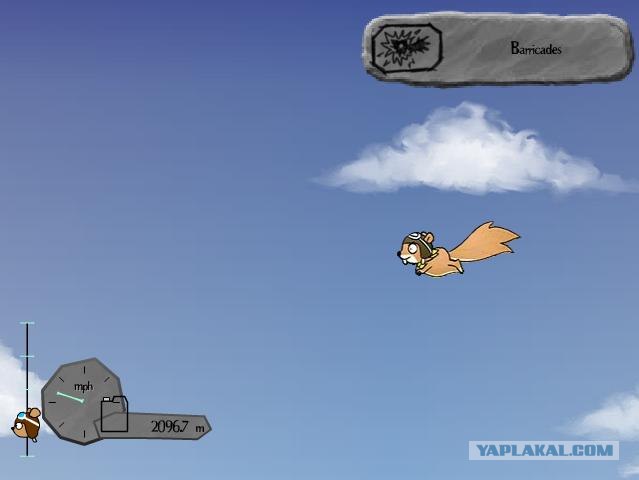 Fly Squirrel Fly