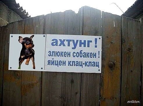 Мужчина требует миллион рублей у хозяина собаки, которая укусила его в пах