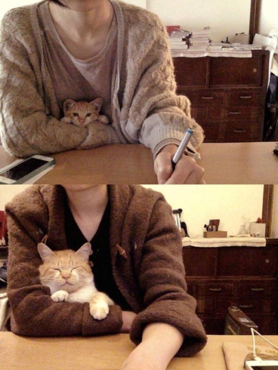 Немного милоты