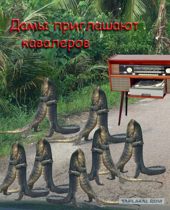 Встреча старых друзей