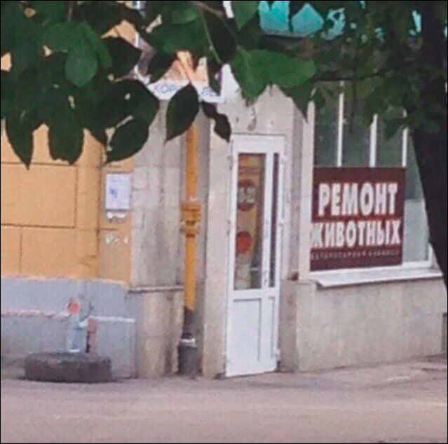 Перлы