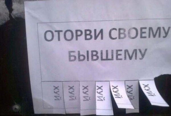 И всё-таки она наша. Лента картинок