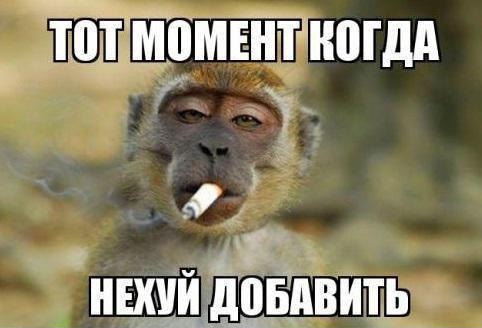 Жизнь удалась!