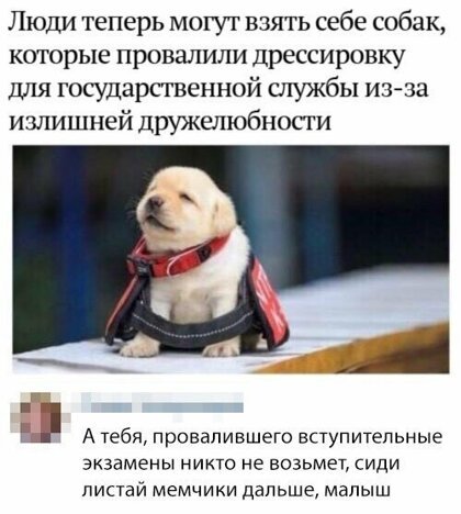 Картинки с надписями, истории и анекдоты