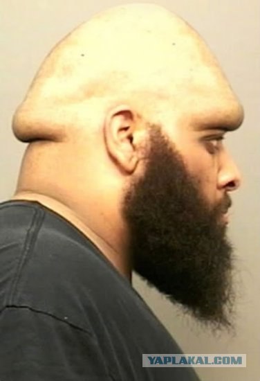 Вся правда о грибном заговоре!