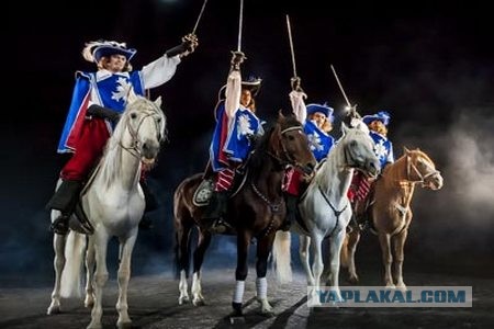 Водитель зарезал пешехода на пешеходном переходе в Мытищах