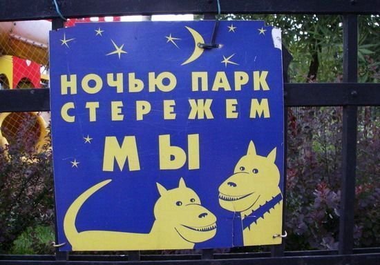 Подборка интересных и веселых картинок 08.05.20