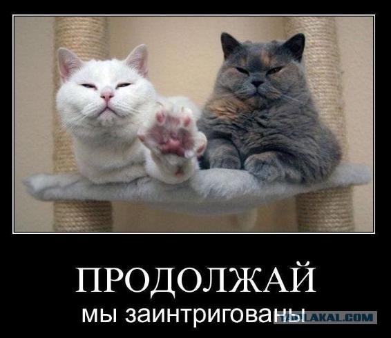 Особенности атипичной дефекации. Краткий ликбез
