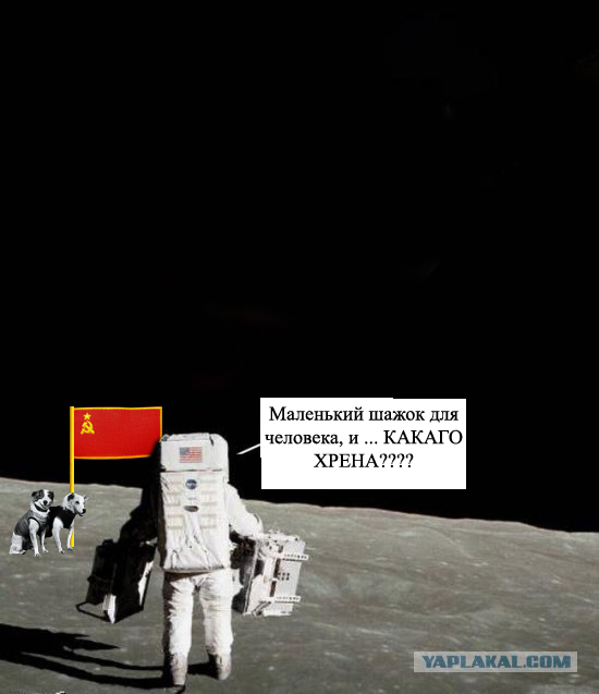 Фотожаба: Ёк! Неожиданненько!