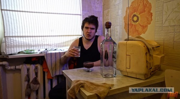 Черныши круглопопые