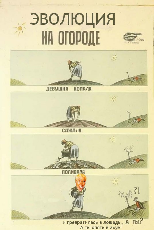 На огороде