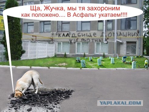 Фотожаба:На связи