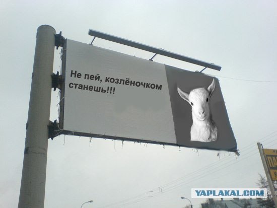 Фотожаба: Социальная реклама
