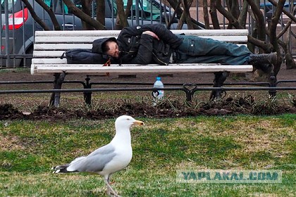 В Швейцарии проголосовали за повышение минимального размера оплаты труда в час до 25 долларов