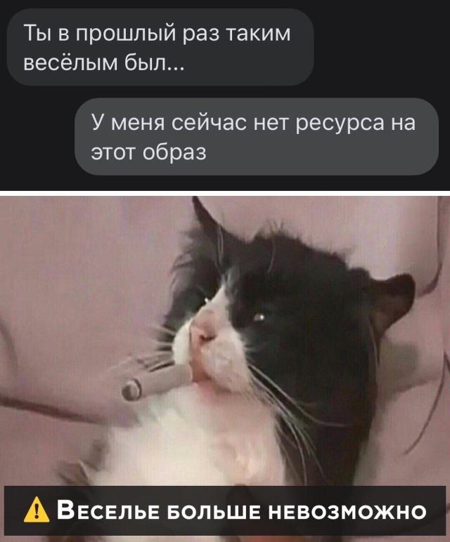 Бредзона 20.10.2020