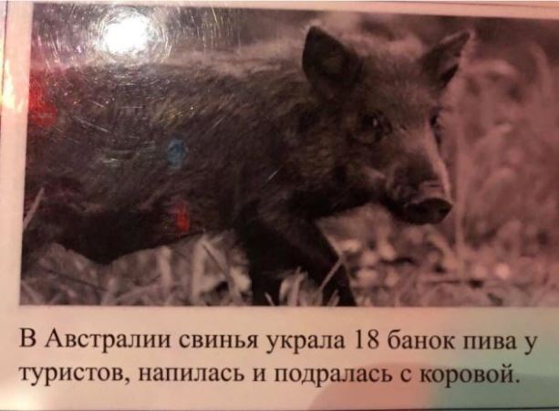 Картинки разные 24.12.20