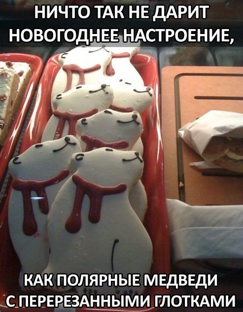 Чернушка 26.12.20