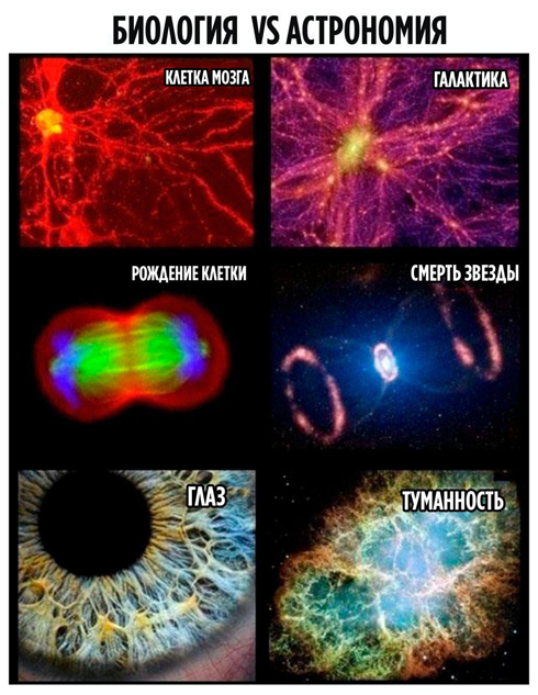 Мощные аргументы