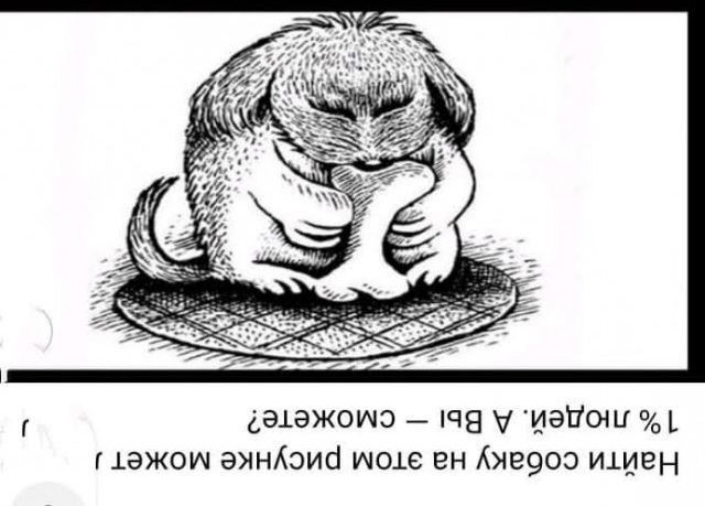 Всяческие картинки 22.06.2021