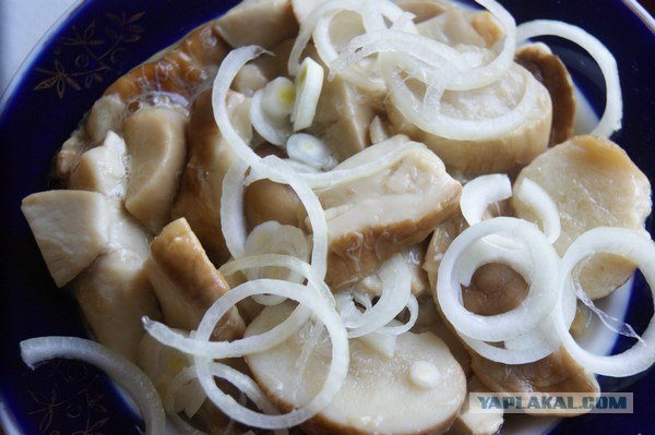 Маринованные белые грибы