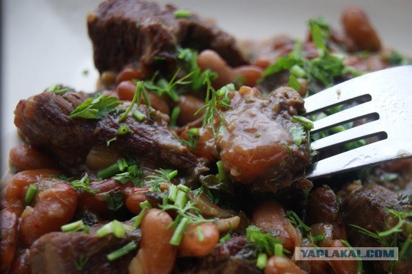 Фасоль – International, Или «Веселые нотки»