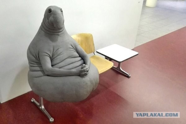 Блокада может обернуться иском.