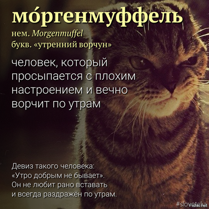 Месево из картинок, поулыбаться или тупо пофтыкать