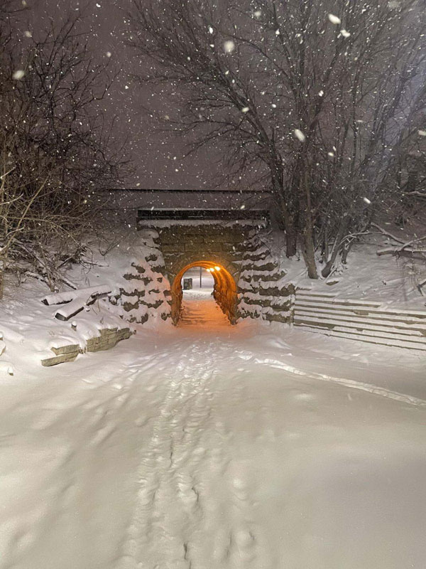 Картинки обо всём 3 22.12.21