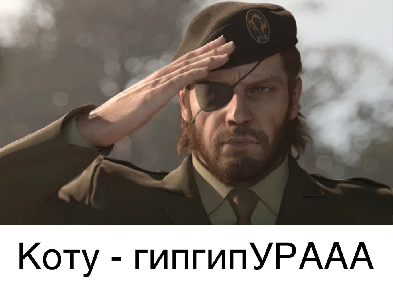 Press f to pay respect мем. отдать честь. Call of duty press f to pay respects. Press f. снейк press f.